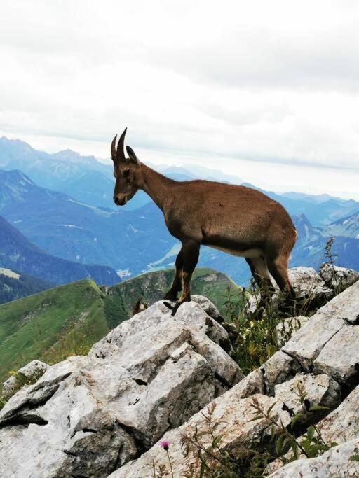 Appartement Vue Sur Le Golf Et Le Lac Leman Publier Eksteriør bilde